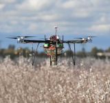 Les drones pollinisateurs pour remplacer les abeilles ?